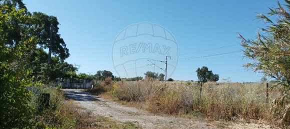 2 غرف نوم منزل في Montemor o Novo, Portugal رقم 25508 4