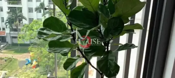 2 Schlafzimmer Wohnung in District 7, Vietnam, Nr. 9935 9