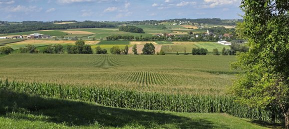 2 bedrooms House in Tobaj, Austria No. 193849 20