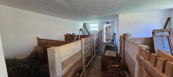 2 bedrooms House in Tobaj, Austria No. 193849 19