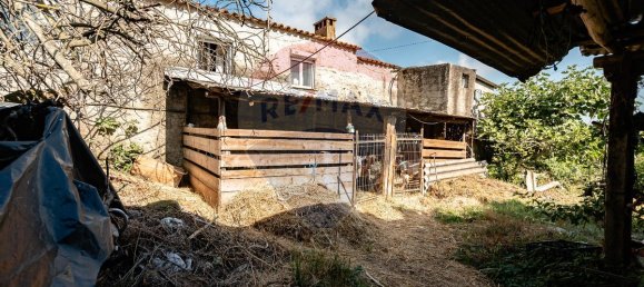 3 bedrooms House in Miranda do Corvo, Portugal No. 31285 28