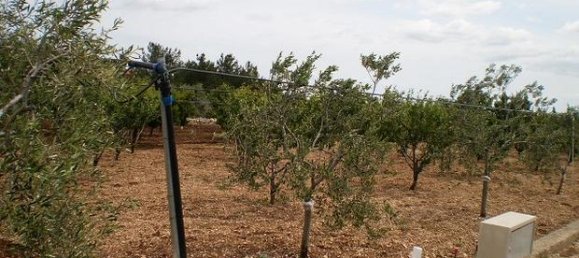 10000m² Land in Ruvo di Puglia, Italy No. 281784 2