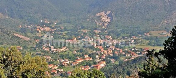 5190m² Land in Lucca, Italy No. 334953 7