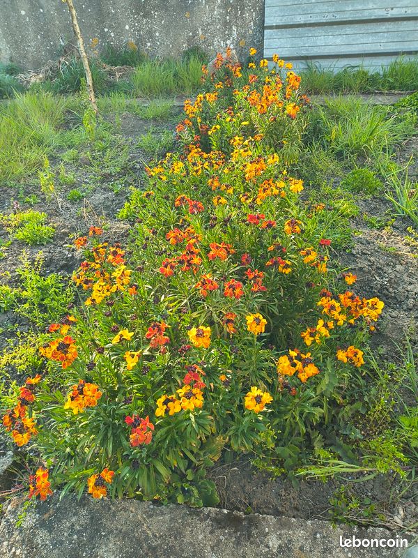 650m² Land in Pont-Saint-Vincent, France No. 322687