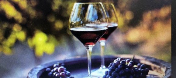 100m² Commercial property in Florence, Italy No. 39779 2