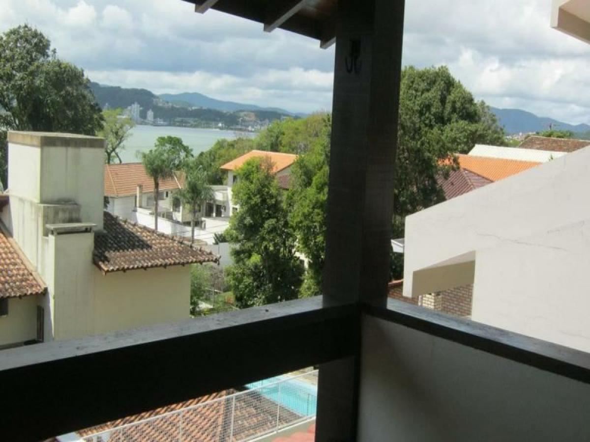 Studio in Florianopolis, Brazil No. 513816