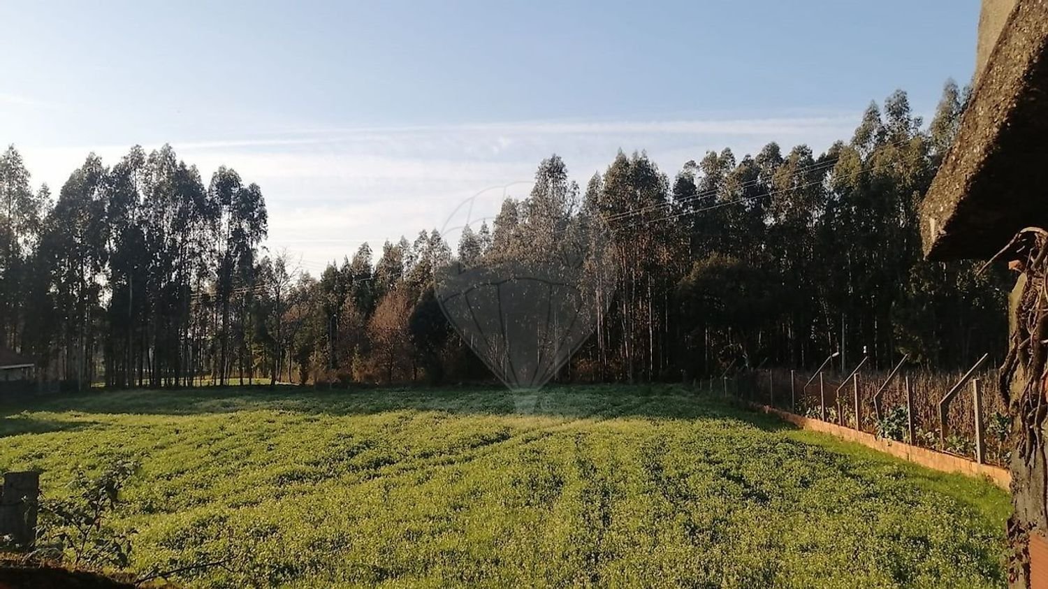  قطعة أرض في Loureiro, Portugal رقم 353115