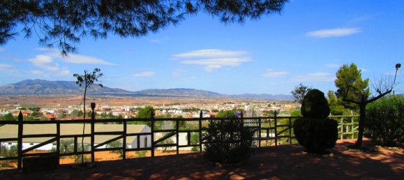 Casa de 4 dormitorios en Pinoso, Spain No. 164837 11