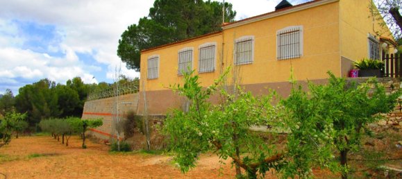 Casa de 4 dormitorios en Pinoso, Spain No. 164837 3
