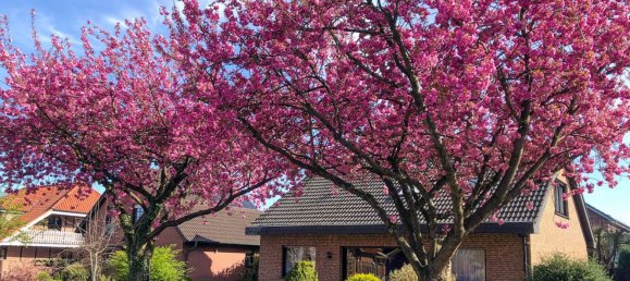 Дом с 3 спальнями в Графство Бентхайм, Германия № 164094 2