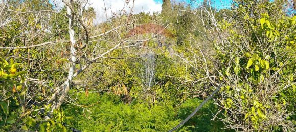  قطعة أرض في Fiumefreddo di Sicilia, Italy 15300متر مربع رقم 165365 37