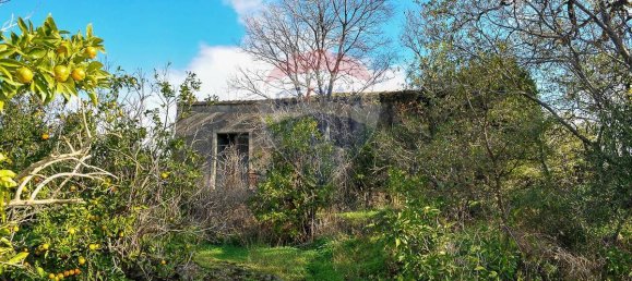  قطعة أرض في Fiumefreddo di Sicilia, Italy 15300متر مربع رقم 165365 22