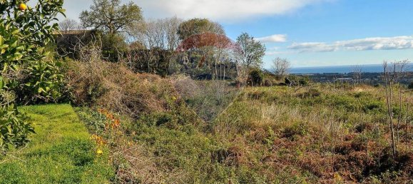  قطعة أرض في Fiumefreddo di Sicilia, Italy 15300متر مربع رقم 165365 15