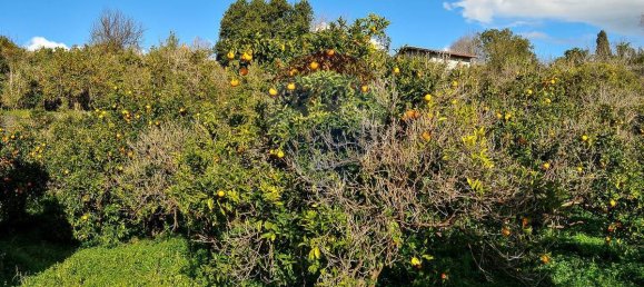  قطعة أرض في Fiumefreddo di Sicilia, Italy 15300متر مربع رقم 165365 17