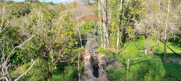  قطعة أرض في Fiumefreddo di Sicilia, Italy 15300متر مربع رقم 165365 38