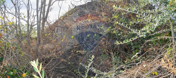  قطعة أرض في Fiumefreddo di Sicilia, Italy 15300متر مربع رقم 165365 35