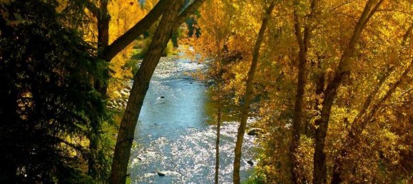 2 bedrooms Cafe / restaurant in Edwards, USA No. 80 18