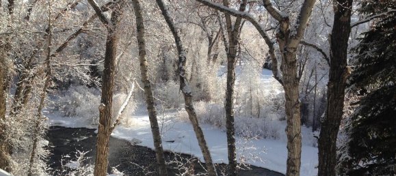 2 bedrooms Cafe / restaurant in Edwards, USA No. 80 20