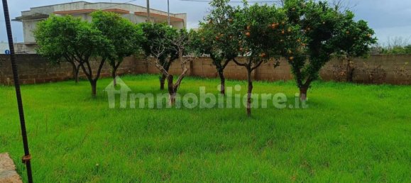 3 Schlafzimmer Haus in Salve, Italy, Nr. 220362 38