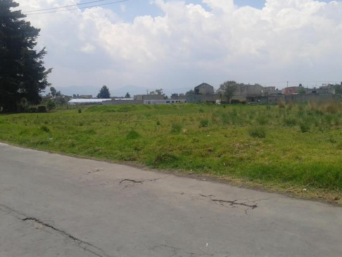  Land in San Mateo Atenco, Mexico No. 203651