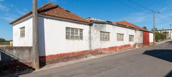 584m² Warehouse in Alcanena, Portugal No. 15258 14