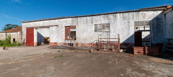 584m² Warehouse in Alcanena, Portugal No. 15258 2