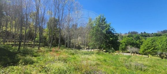 3 Schlafzimmer Haus in Vouzela, Portugal, Nr. 177008 8