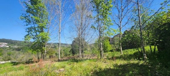 3 Schlafzimmer Haus in Vouzela, Portugal, Nr. 177008 9