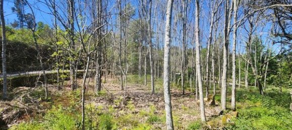 3 Schlafzimmer Haus in Vouzela, Portugal, Nr. 177008 11