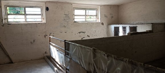 5 rooms House in Ravenna, Italy No. 308119 44