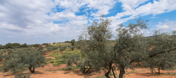 3 غرف نوم فيلا في Polop, Spain رقم 47540 2