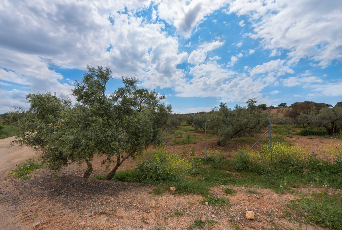 3 غرف نوم فيلا في Polop, Spain رقم 47540