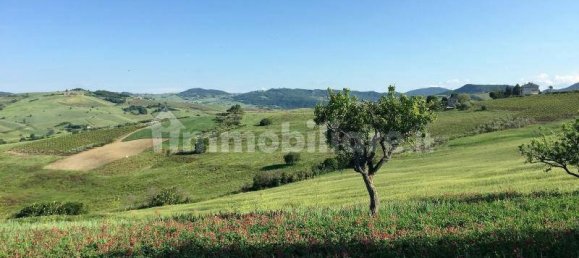 5-salle Maison à Furci, Italy No. 168232 14