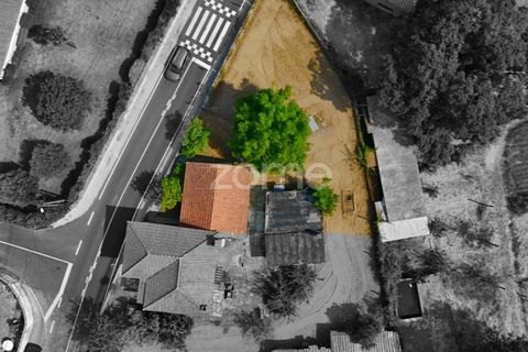 1 bedroom House in Santo Tirso, Portugal No. 268304