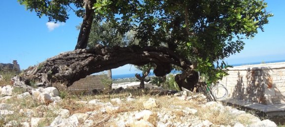 7غرفة منزل في Fasano, Italy رقم 72534 11