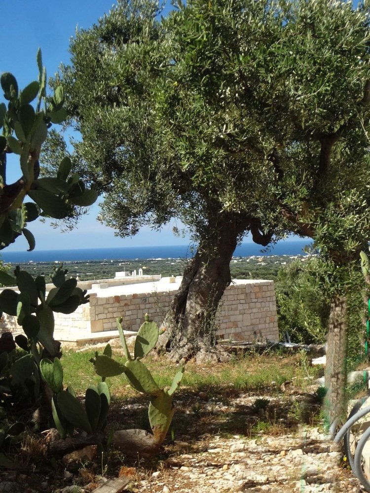 7غرفة منزل في Fasano, Italy رقم 72534