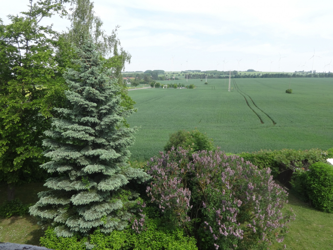 3غرفة شقة في Gotha, Germany رقم 174549