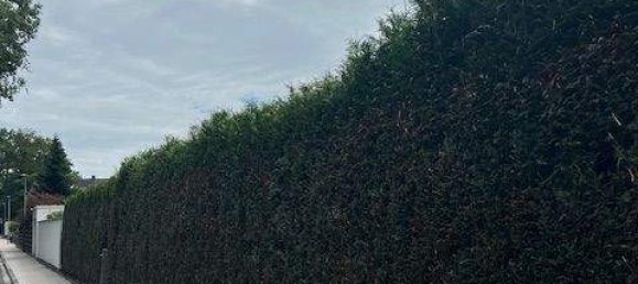 2 Schlafzimmer Grundstück in Bergisch Gladbach, Germany, Nr. 334497 6