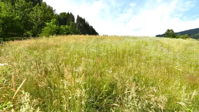 Grundstück in Feldkirchen in Kärnten, Austria, Nr. 214662