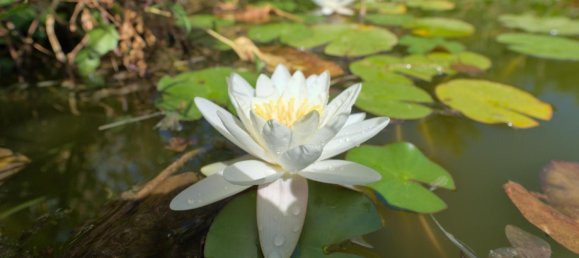 4 Schlafzimmer Haus in Granada, Spain, Nr. 177525 42