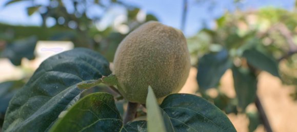 4 Schlafzimmer Haus in Granada, Spain, Nr. 177525 46