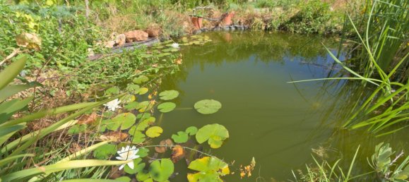 4 Schlafzimmer Haus in Granada, Spain, Nr. 177525 43