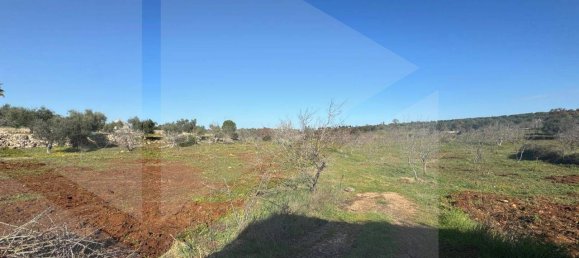 1-Zimmer Lagerhaus in Castellana Grotte, Italy, Nr. 23200 10