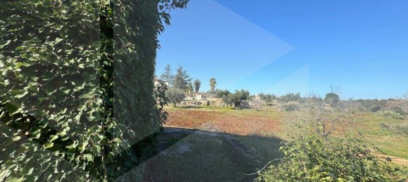 1-Zimmer Lagerhaus in Castellana Grotte, Italy, Nr. 23200 4