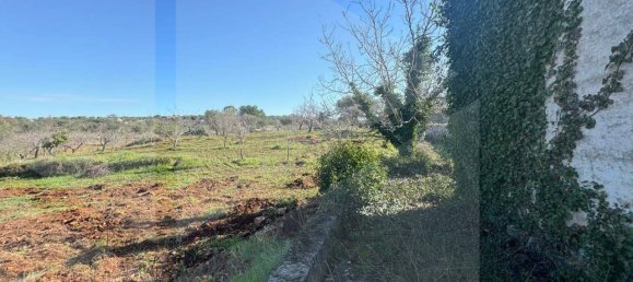 1-Zimmer Lagerhaus in Castellana Grotte, Italy, Nr. 23200 9