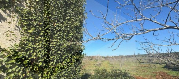 1-Zimmer Lagerhaus in Castellana Grotte, Italy, Nr. 23200 5