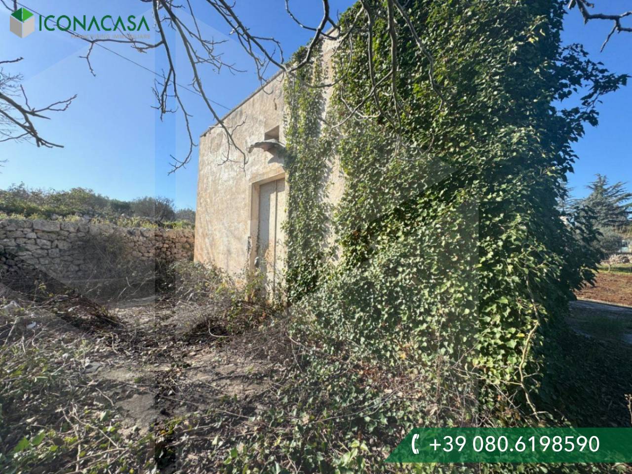 1-Zimmer Lagerhaus in Castellana Grotte, Italy, Nr. 23200