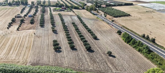 قطعة أرض في Montalto di Castro, Italy 57000متر مربع رقم 297454 4