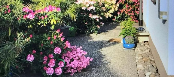 1 Schlafzimmer Haus in Aschaffenburg, Germany, Nr. 168546 22