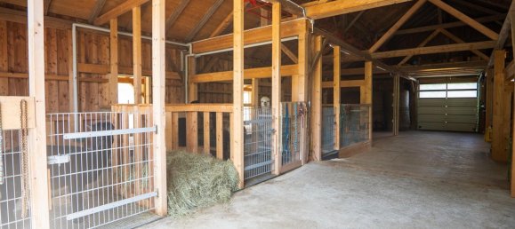 Granja de 7 habitaciónes en Freyung-Grafenau, Germany No. 335540 18